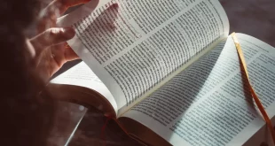 Apa Inspirasi Menarik yang Anda Peroleh dari Kegiatan Disiplin Positif