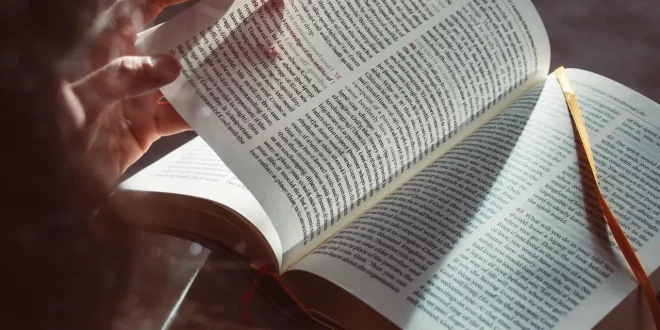 Apa Inspirasi Menarik yang Anda Peroleh dari Kegiatan Disiplin Positif