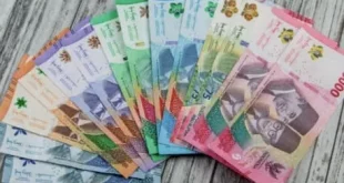 Bagaimana asal mula terciptanya uang