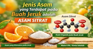 Ilustrasi buah jeruk dan asam sitrat sebagai jenis asam yang terdapat pada buah jeruk sesuai materi IPA Kimia