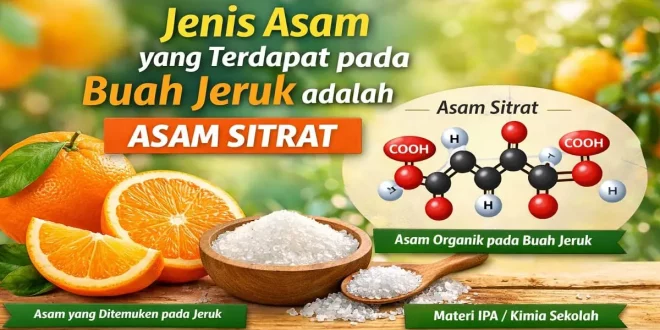 Ilustrasi buah jeruk dan asam sitrat sebagai jenis asam yang terdapat pada buah jeruk sesuai materi IPA Kimia