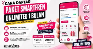 Cara daftar paket Smartfren unlimited 1 bulan menggunakan pulsa, SMS, dan aplikasi MySmartfren.